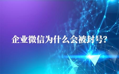 企業微信為什么會被封號